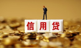 成都9哪有个人借贷-成都9小额贷款公司-成都9私借空放免费上门