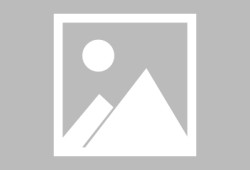 成都9信用贷款办理-成都9哪有民间借贷-成都9信用贷款哪家好
